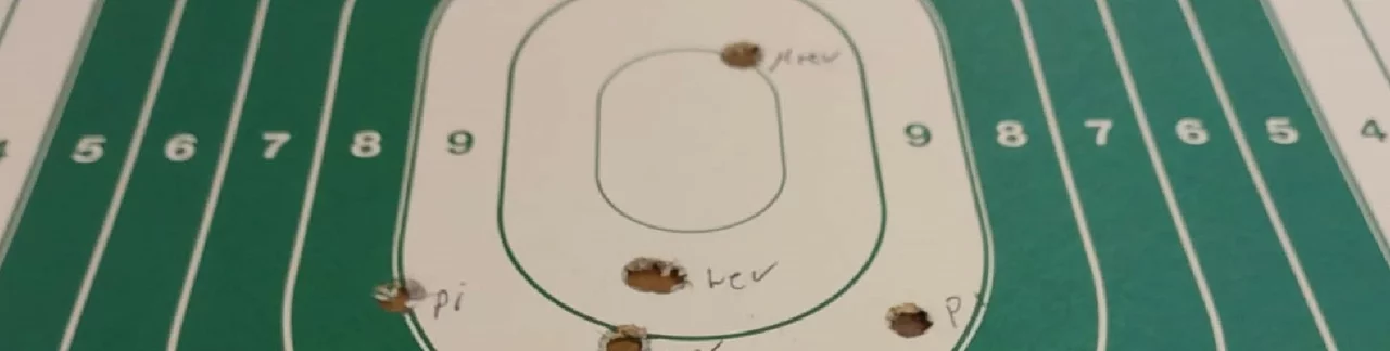 DSU Sportscheibe